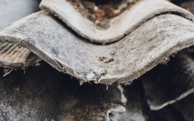 Expert Asbestos Removal Services in Nottinghill